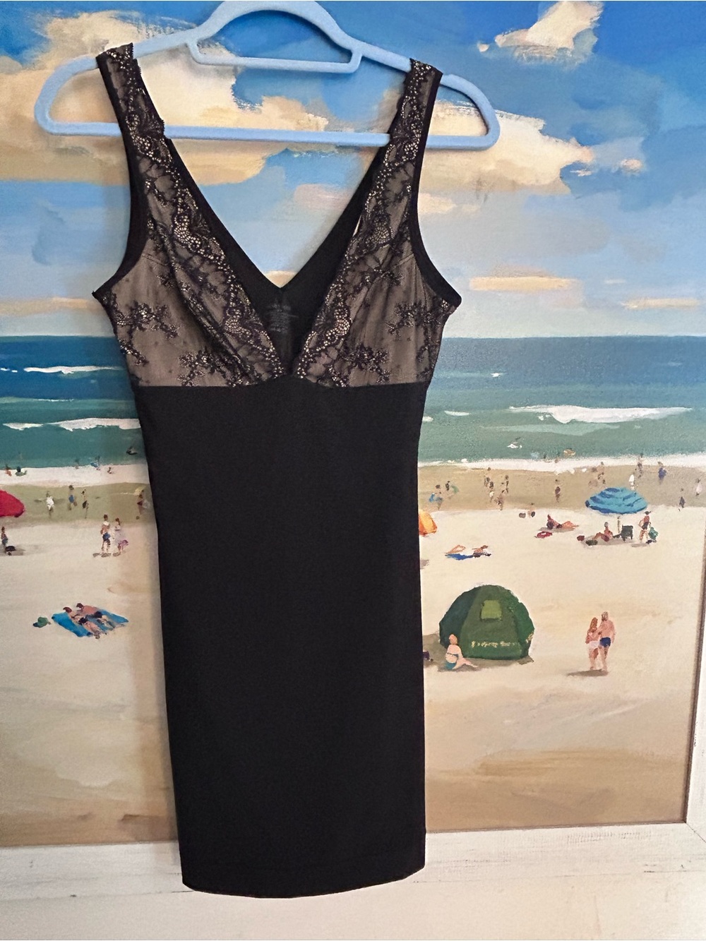 Nearly Nude Black Lace V-Neck stretchy body con dress
